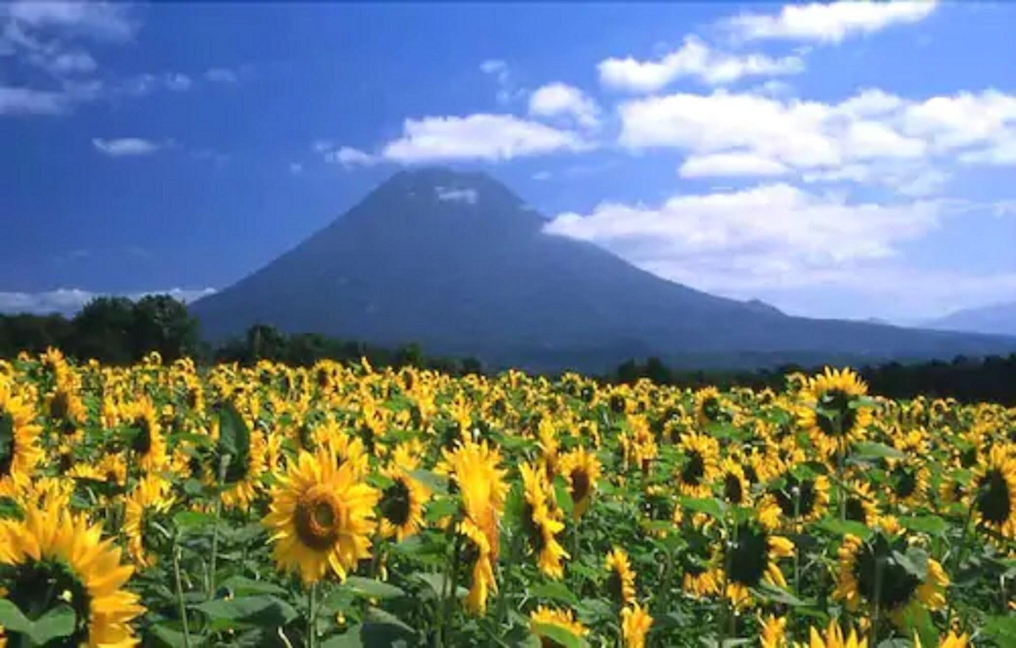 Niseko Prince Hotel Hirafutei Exterior photo