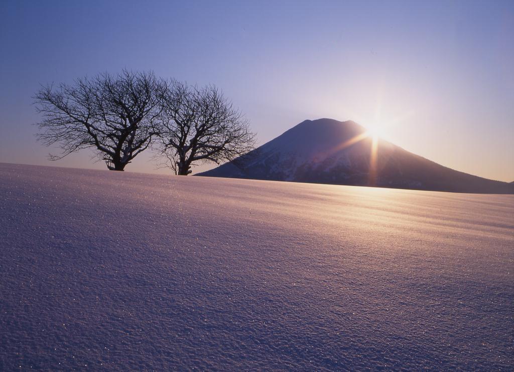 Niseko Prince Hotel Hirafutei Exterior photo